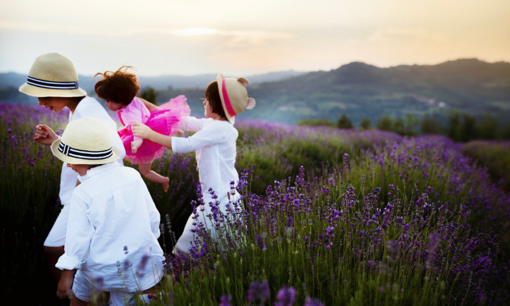 CAMPI DI LAVANDA IN PIEMONTE: ECCO DOVE TROVARE I PIÙ BELLI!