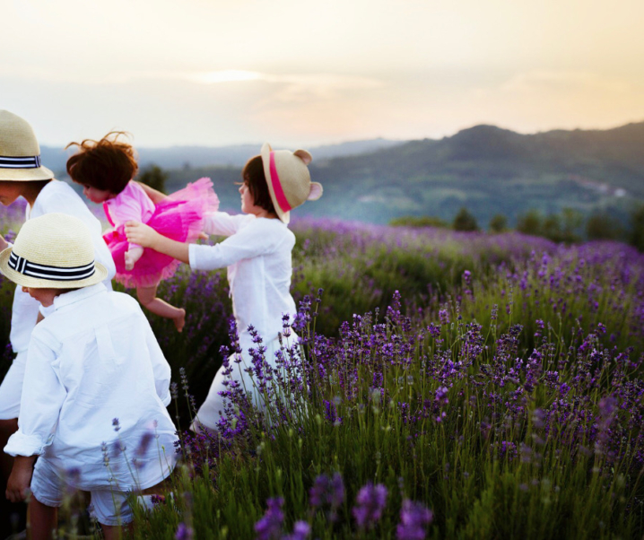 CAMPI DI LAVANDA IN PIEMONTE: ECCO DOVE TROVARE I PIÙ BELLI!