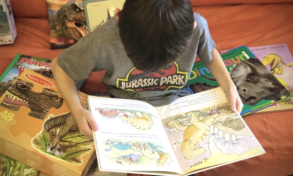 20 E PIU’ LIBRI PER BAMBINI APPASSIONATI DI DINOSAURI