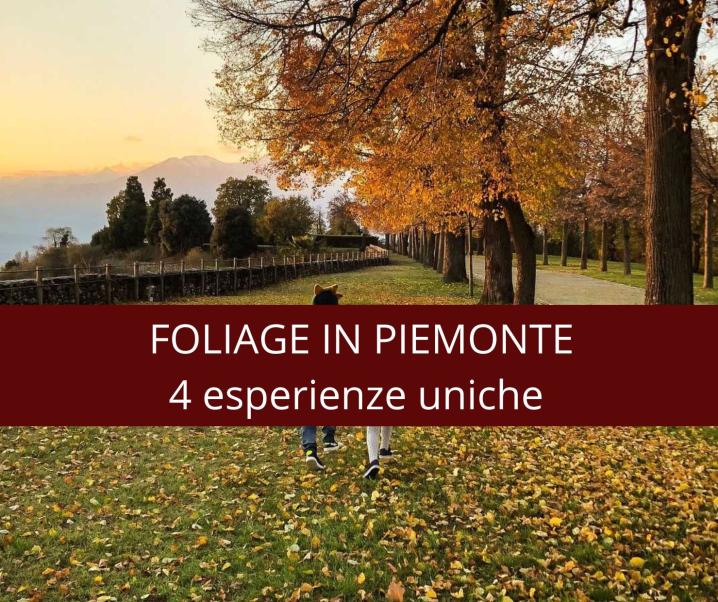 Foliage in Piemonte:  4 esperienze uniche!
